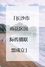 长沙市雨花区国际传播联盟成立