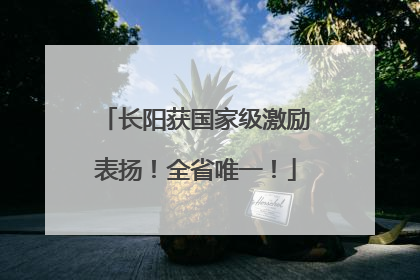 长阳获国家级激励表扬！全省唯一！