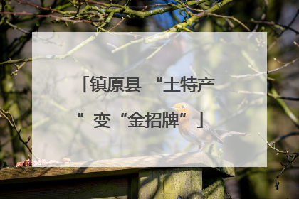 镇原县 “土特产”变“金招牌”