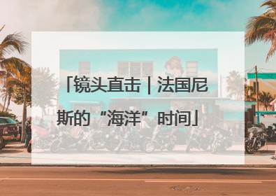 镜头直击｜法国尼斯的“海洋”时间