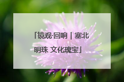 镜观·回响｜塞北明珠 文化瑰宝