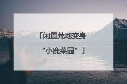 闲置荒地变身“小鹿菜园”