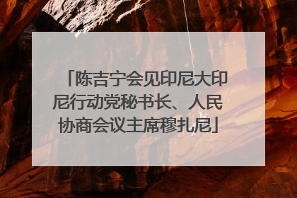 陈吉宁会见印尼大印尼行动党秘书长、人民协商会议主席穆扎尼