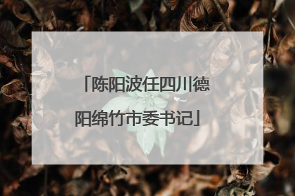 陈阳波任四川德阳绵竹市委书记