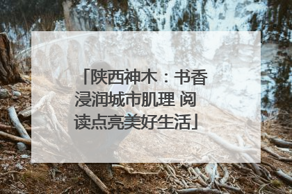 陕西神木：书香浸润城市肌理 阅读点亮美好生活