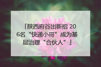 陕西府谷出新招 206名“快递小哥”成为基层治理“合伙人”