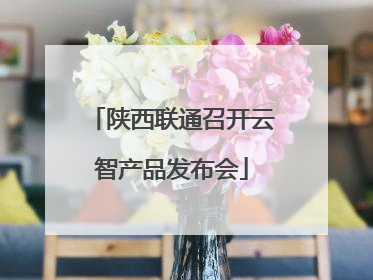 陕西联通召开云智产品发布会