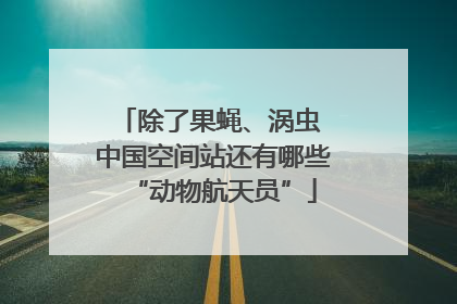 除了果蝇、涡虫 中国空间站还有哪些“动物航天员”