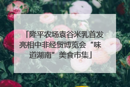 隆平农场袁谷米乳首发亮相中非经贸博览会“味道湖南”美食市集