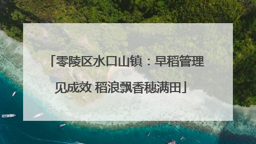 零陵区水口山镇：早稻管理见成效 稻浪飘香穗满田