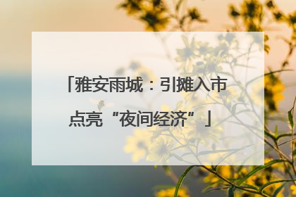 雅安雨城：引摊入市 点亮“夜间经济”