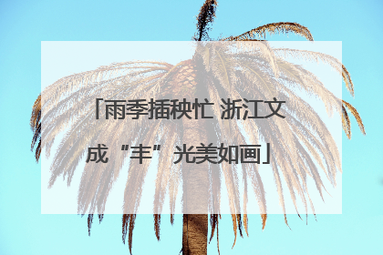 雨季插秧忙 浙江文成“丰”光美如画