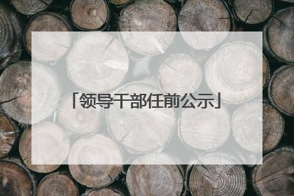 领导干部任前公示