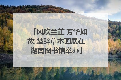 风吹兰芷 芳华如故 楚辞草木画展在湖南图书馆举办