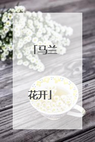 马兰花开