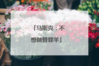 马斯克：不想做替罪羊