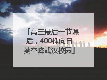 高三最后一节课后，400株向日葵空降武汉校园