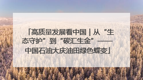 高质量发展看中国｜从“生态守护”到“碳汇生金”——中国石油大庆油田绿色蝶变