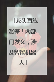龙头直线涨停！两部门发文，涉及智能机器人