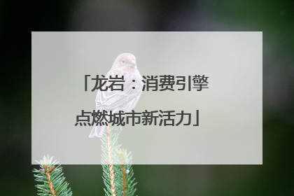 龙岩：消费引擎点燃城市新活力