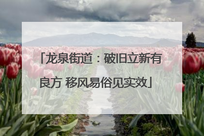 龙泉街道：破旧立新有良方 移风易俗见实效