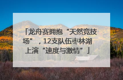 龙舟赛拥抱“天然竞技场”，12支队伍枣林湖上演“速度与激情”
