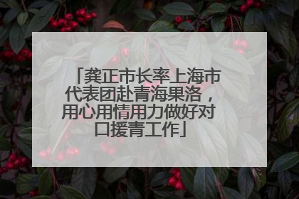 龚正市长率上海市代表团赴青海果洛，用心用情用力做好对口援青工作