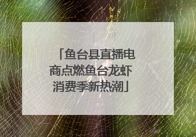 鱼台县直播电商点燃鱼台龙虾消费季新热潮