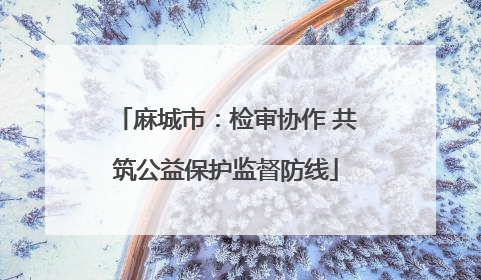 麻城市：检审协作 共筑公益保护监督防线