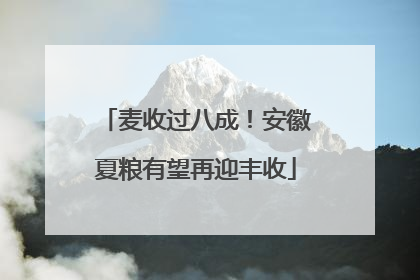 麦收过八成！安徽夏粮有望再迎丰收