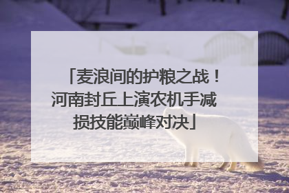 麦浪间的护粮之战！河南封丘上演农机手减损技能巅峰对决