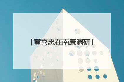 黄喜忠在南康调研