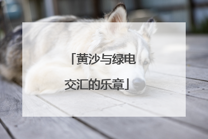 黄沙与绿电交汇的乐章