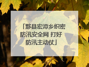 黟县宏潭乡织密防汛安全网 打好防汛主动仗