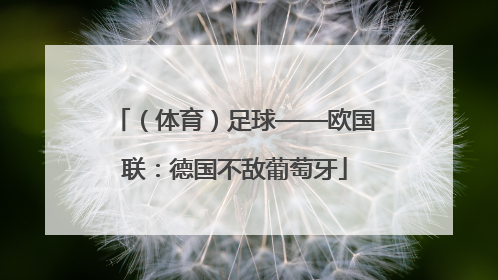 （体育）足球——欧国联：德国不敌葡萄牙