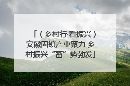 （乡村行·看振兴）安徽固镇产业聚力 乡村振兴“畜”势勃发