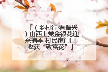 （乡村行·看振兴）山西上党金银花迎采摘季 村民家门口收获“致富花”