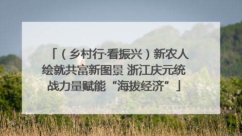 （乡村行·看振兴）新农人绘就共富新图景 浙江庆元统战力量赋能“海拔经济”