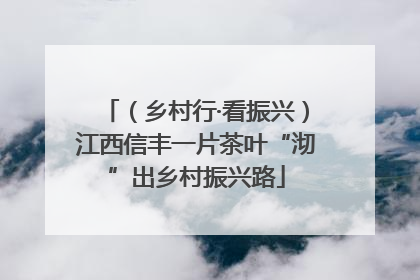 （乡村行·看振兴）江西信丰一片茶叶“沏”出乡村振兴路