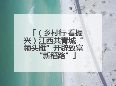 （乡村行·看振兴）江西共青城“领头雁”开辟致富“新稻路”