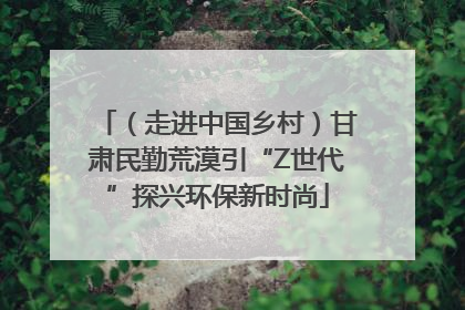 （走进中国乡村）甘肃民勤荒漠引“Z世代”探兴环保新时尚