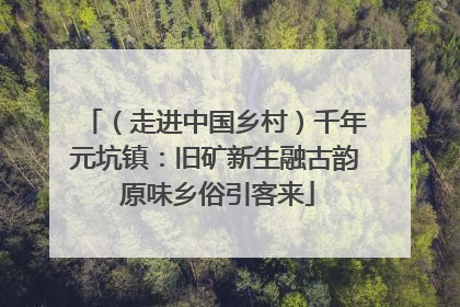 （走进中国乡村）千年元坑镇：旧矿新生融古韵 原味乡俗引客来