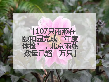 107只雨燕在颐和园完成“年度体检”，北京雨燕数量已超一万只
