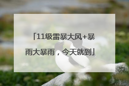 11级雷暴大风+暴雨大暴雨，今天就到