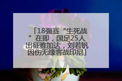 18强赛“生死战”在即，国足25人出征雅加达，刘若钒因伤无缘客战印尼