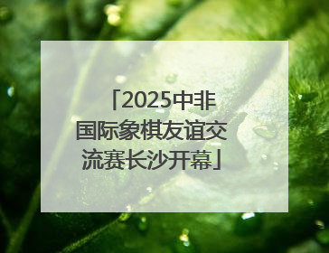 2025中非国际象棋友谊交流赛长沙开幕