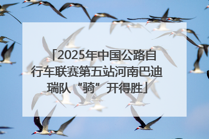 2025年中国公路自行车联赛第五站河南巴迪瑞队“骑”开得胜