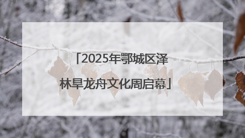 2025年鄂城区泽林旱龙舟文化周启幕