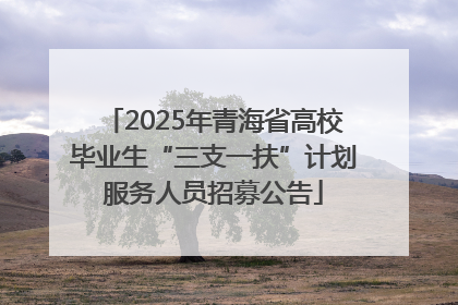 2025年青海省高校毕业生“三支一扶”计划服务人员招募公告