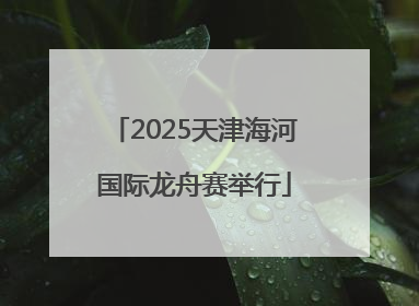 2025天津海河国际龙舟赛举行